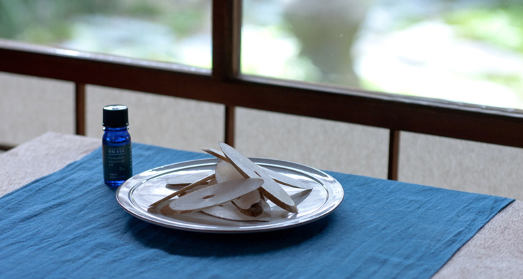 内野樟脳イメージ3